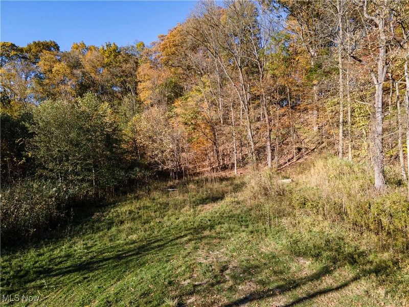 3339 Yellow Creek Road, Bath, OH 44333 Photo 5