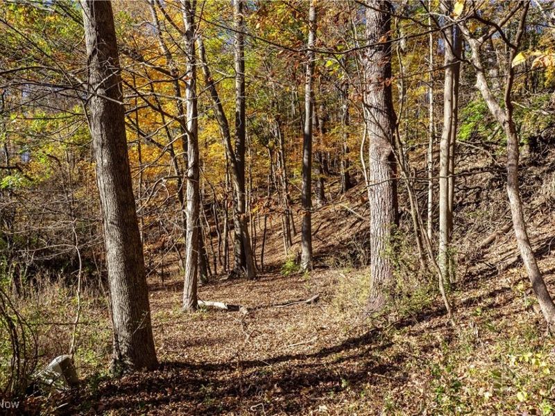 3339 Yellow Creek Road, Bath, OH 44333 Photo 8