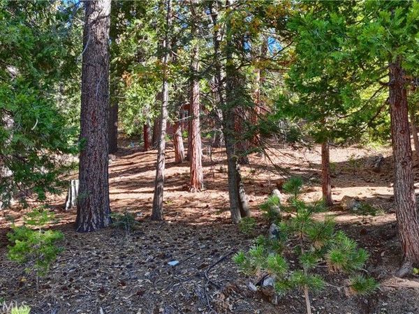 7232 Yosemite Park, Yosemite, CA 95389