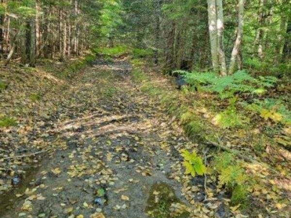 862 Hemore Road, Hammond, ME 04730