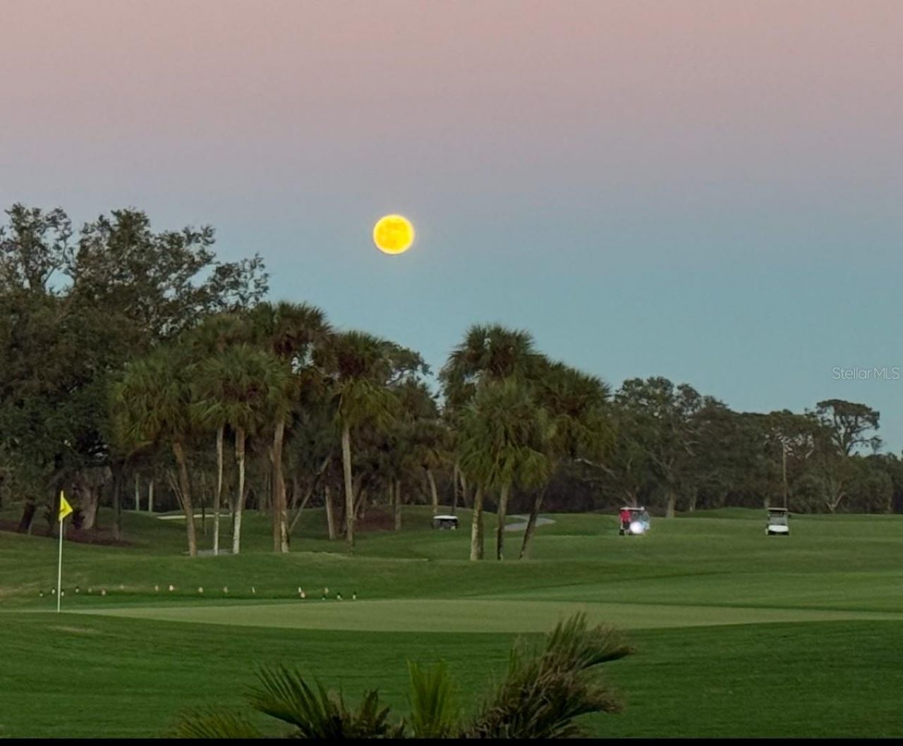 306 Venice Golf Club Drive, Venice, FL 34292 Photo