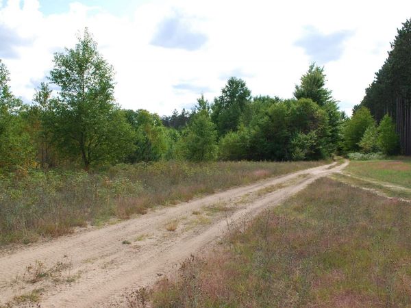 Little Lane, Kalkaska, MI 49646