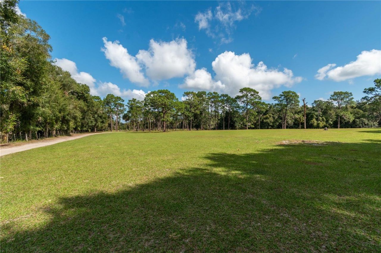 15615 NE 21st Avenue Road, Citra, FL 32113 Photo