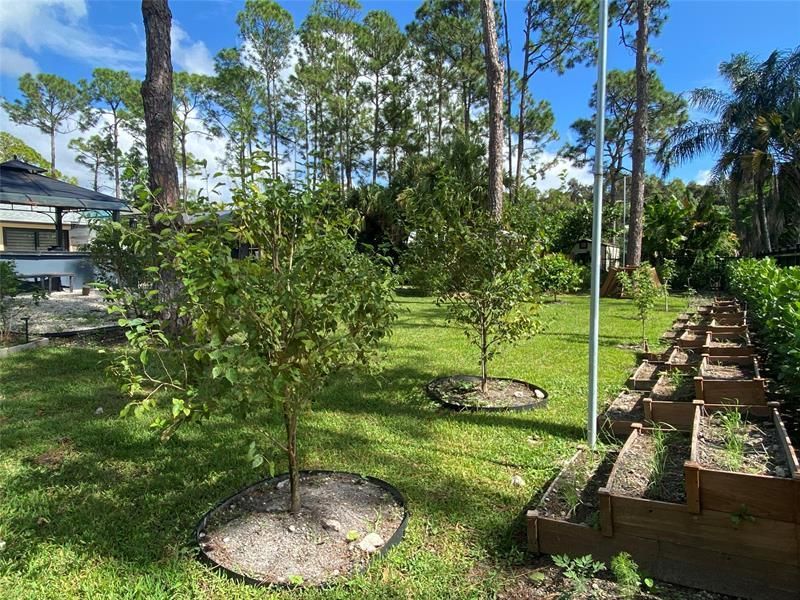 15810 N 83rd Lane, Loxahatchee, FL 33470 Photo