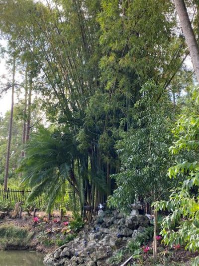 15810 N 83rd Lane, Loxahatchee, FL 33470 Photo