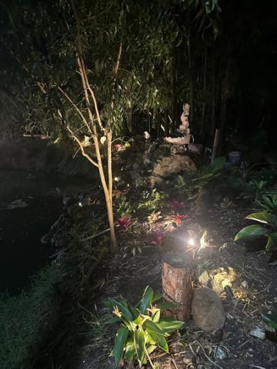 15810 N 83rd Lane, Loxahatchee, FL 33470 Photo