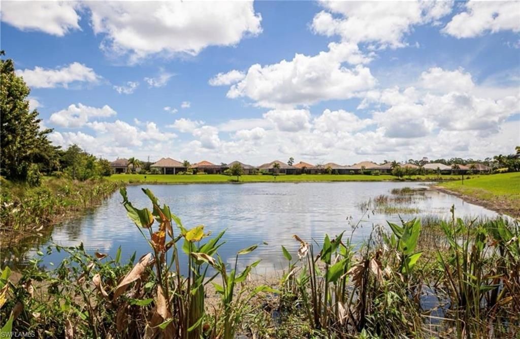 21271 Estero Palm Way, Estero, FL 33928 Photo