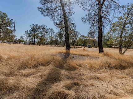 12874 Stedman Ranch Rd, Burson, CA 95225 Photo