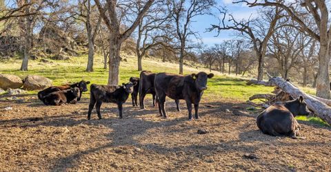 23443 Corino Way, Grass Valley, CA 95949 Photo