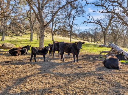 23443 Corino Way, Grass Valley, CA 95949 Photo