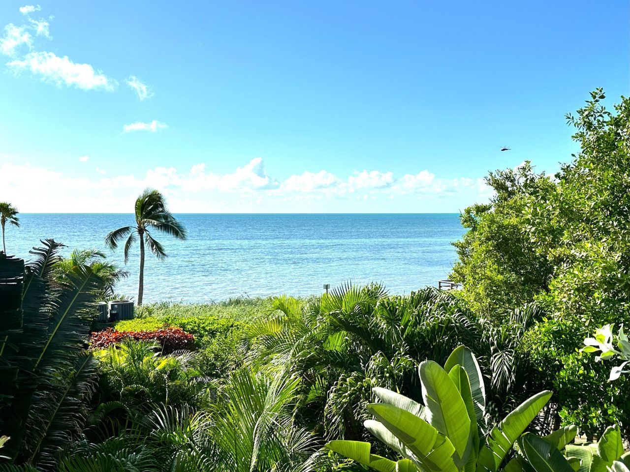 1616 Atlantic Boulevard, Unit 5, Key West, FL 33040 Photo