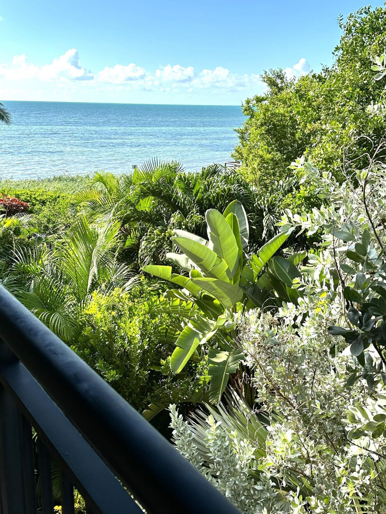 1616 Atlantic Boulevard, Unit 5, Key West, FL 33040 Photo