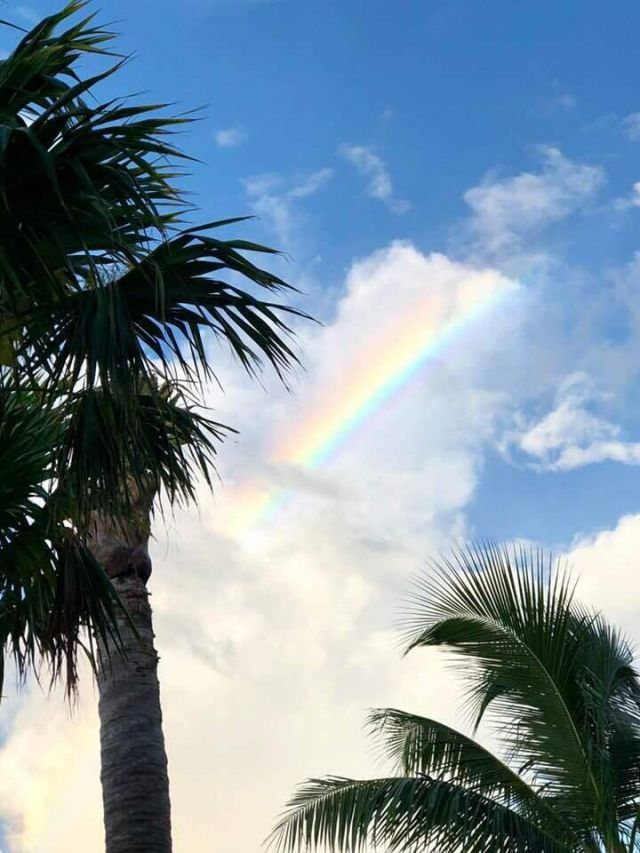 1616 Atlantic Boulevard, Unit 5, Key West, FL 33040 Photo