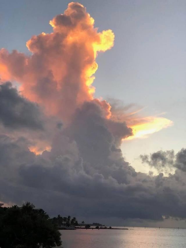 1616 Atlantic Boulevard, Unit 5, Key West, FL 33040 Photo