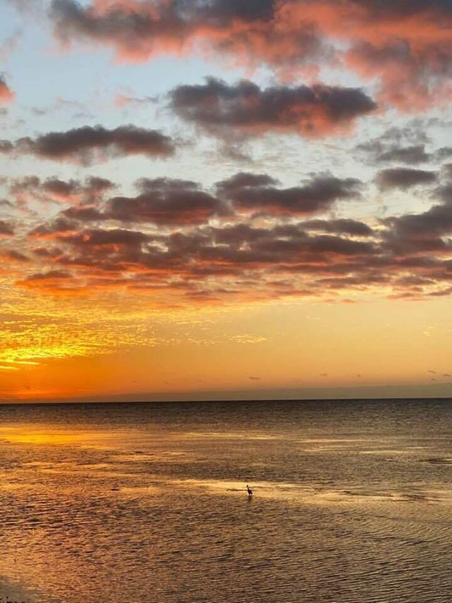 1616 Atlantic Boulevard, Unit 5, Key West, FL 33040 Photo