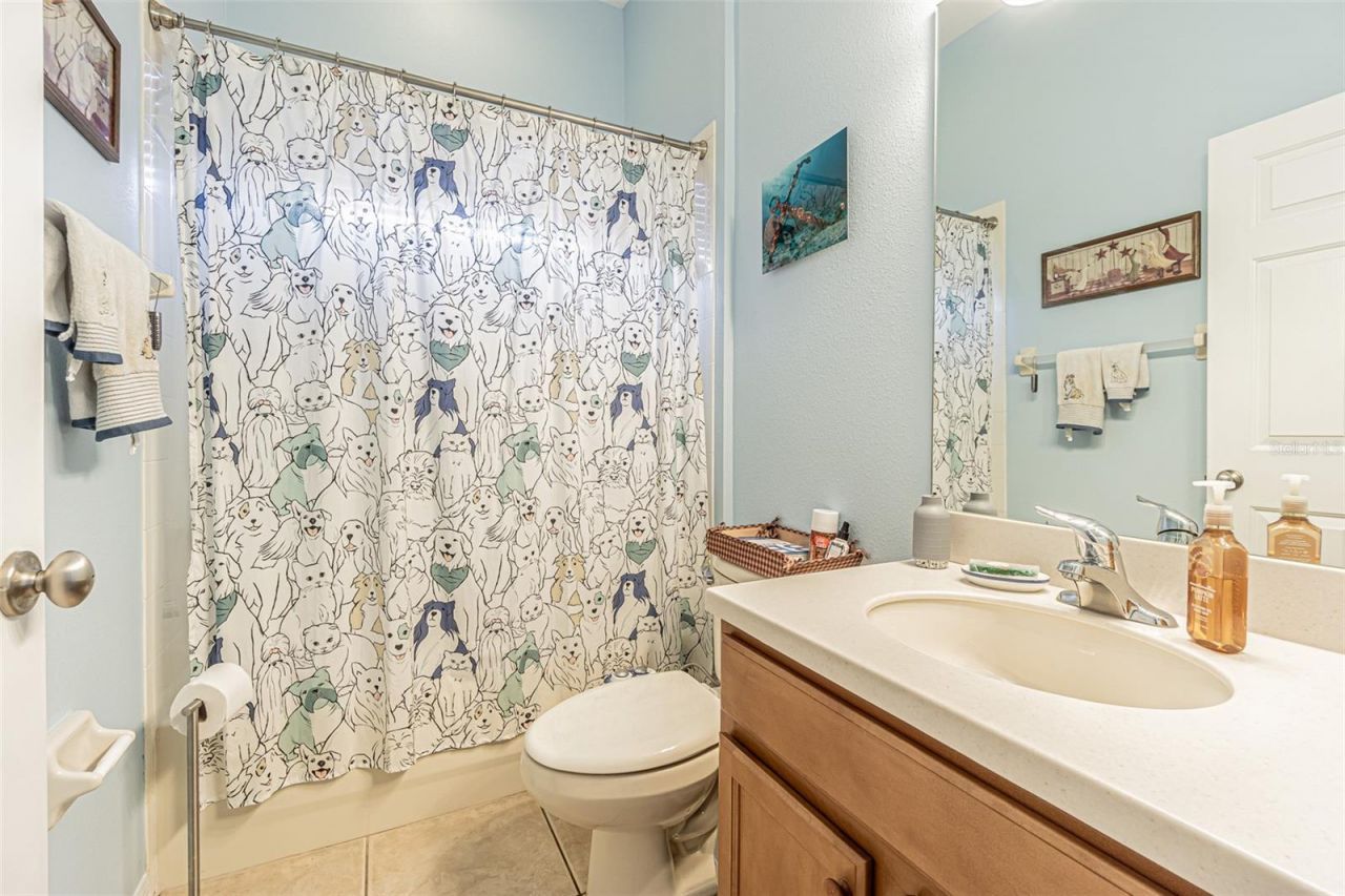 11645 Belle Haven Drive, New Port Richey, FL 34654 Photo