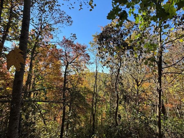 9999 Hemlock Trail, Laurel Park, NC 28739