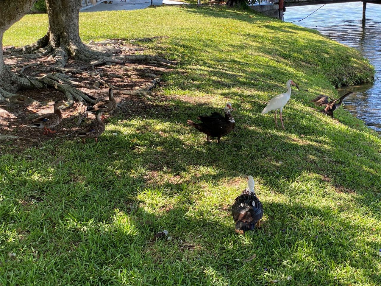 3927 Lake Bayshore Drive, Unit F312, Bradenton, FL 34205 Photo