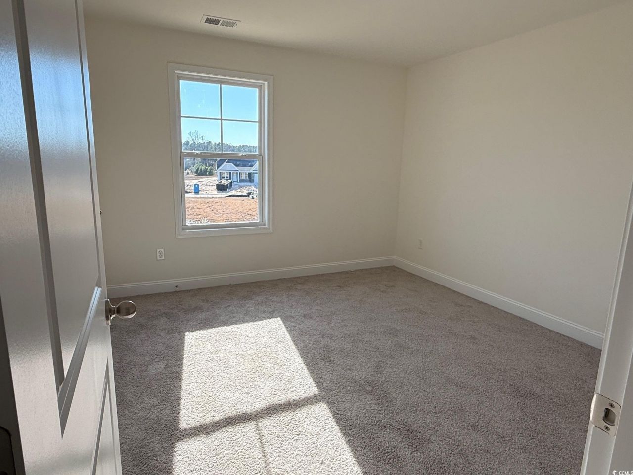 209 Blue Wing Court Photo 13