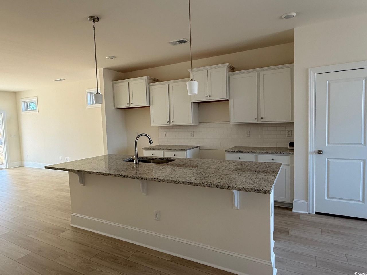 209 Blue Wing Court Photo 3