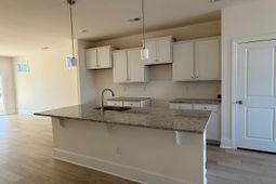 209 Blue Wing Court photo 4