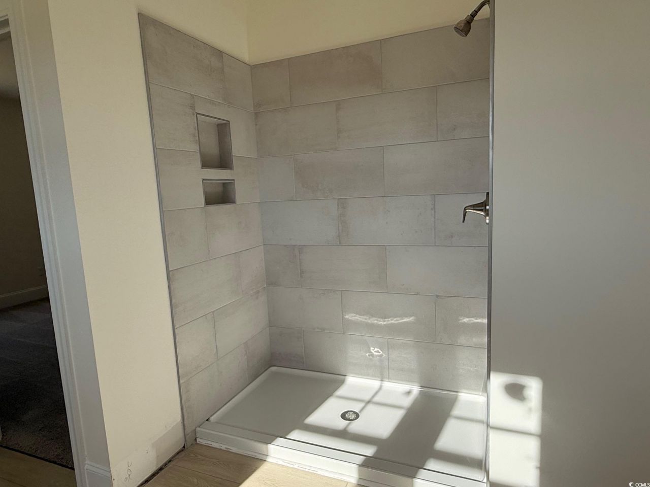 209 Blue Wing Court Photo 7