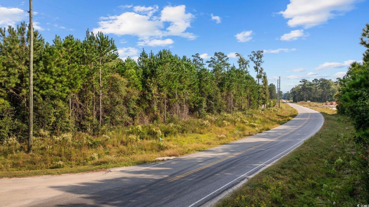 Tbd Old Reaves Ferry Rd. Photo 3