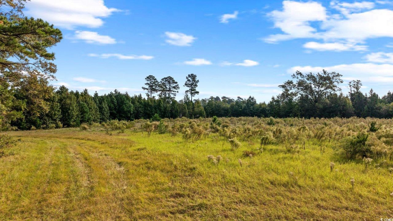 Tbd Old Reaves Ferry Rd. Photo 4