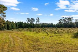 Tbd Old Reaves Ferry Rd. photo 4