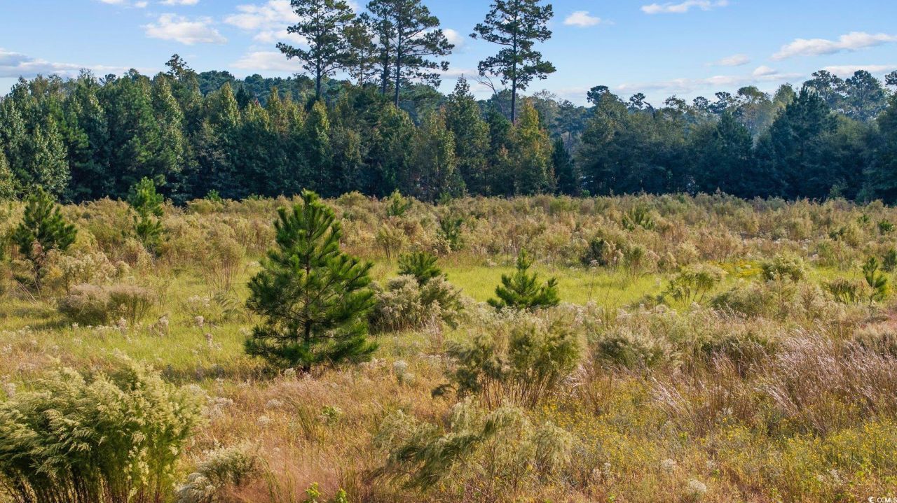 Tbd Old Reaves Ferry Rd. Photo 5