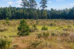 Tbd Old Reaves Ferry Rd. photo 4