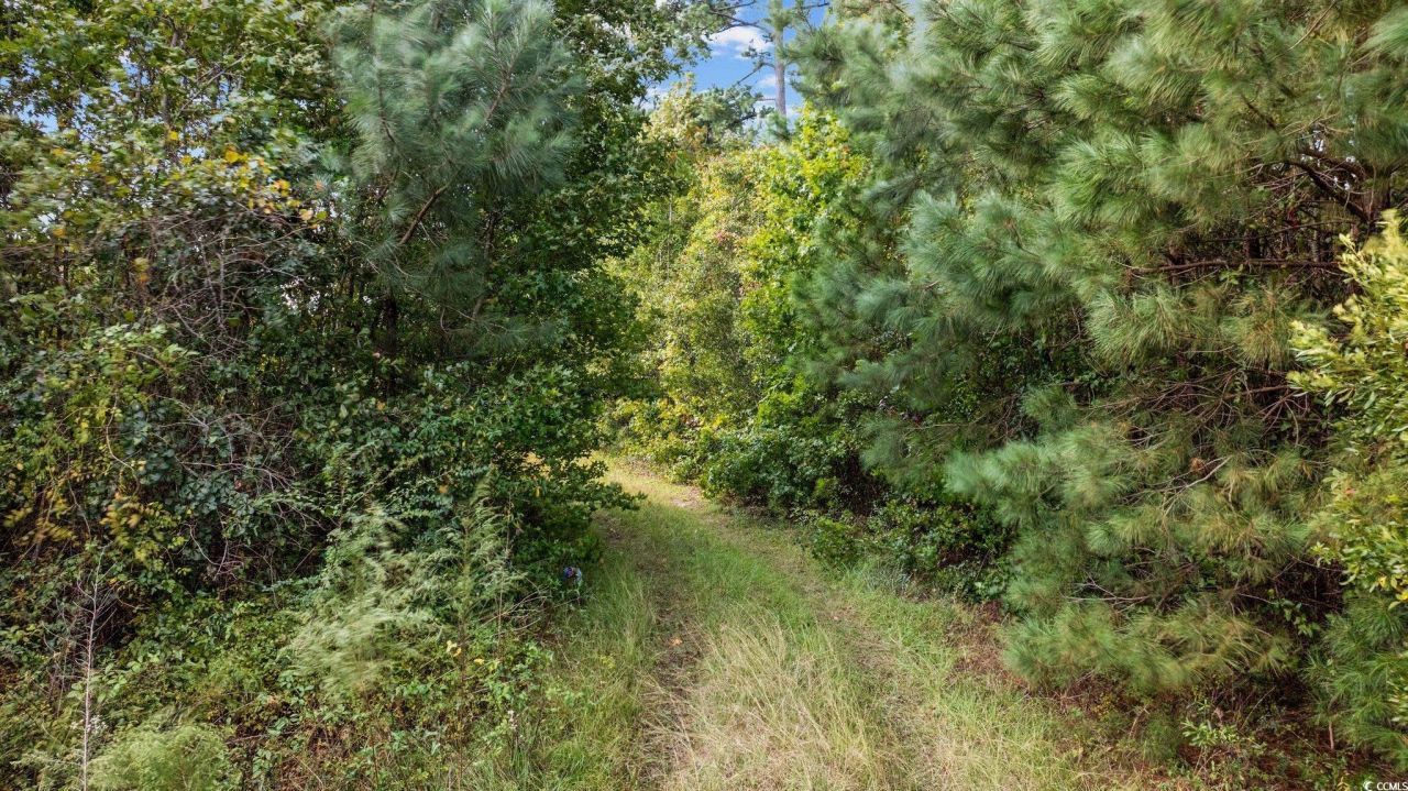 Tbd Old Reaves Ferry Rd. Photo 6