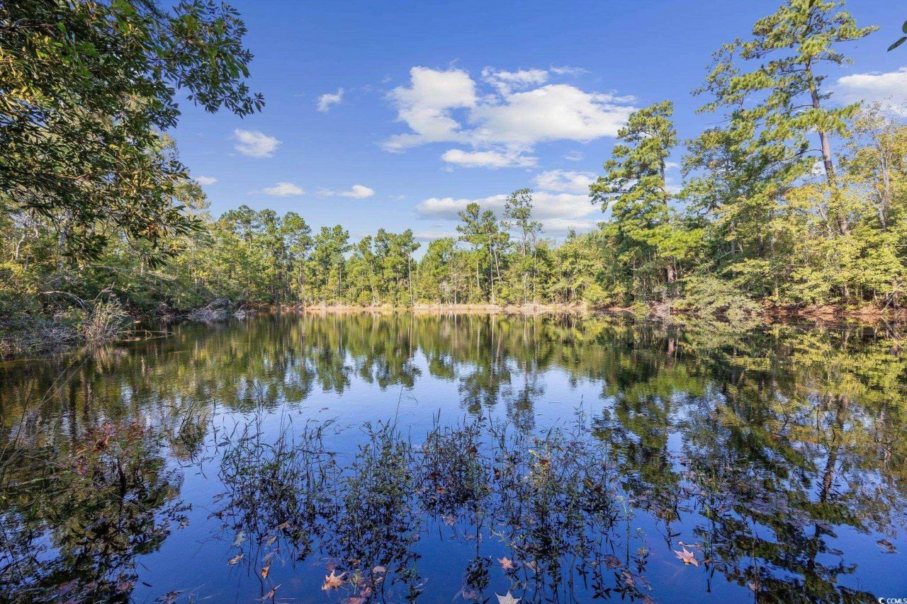 Tbd Old Reaves Ferry Rd. Photo 7