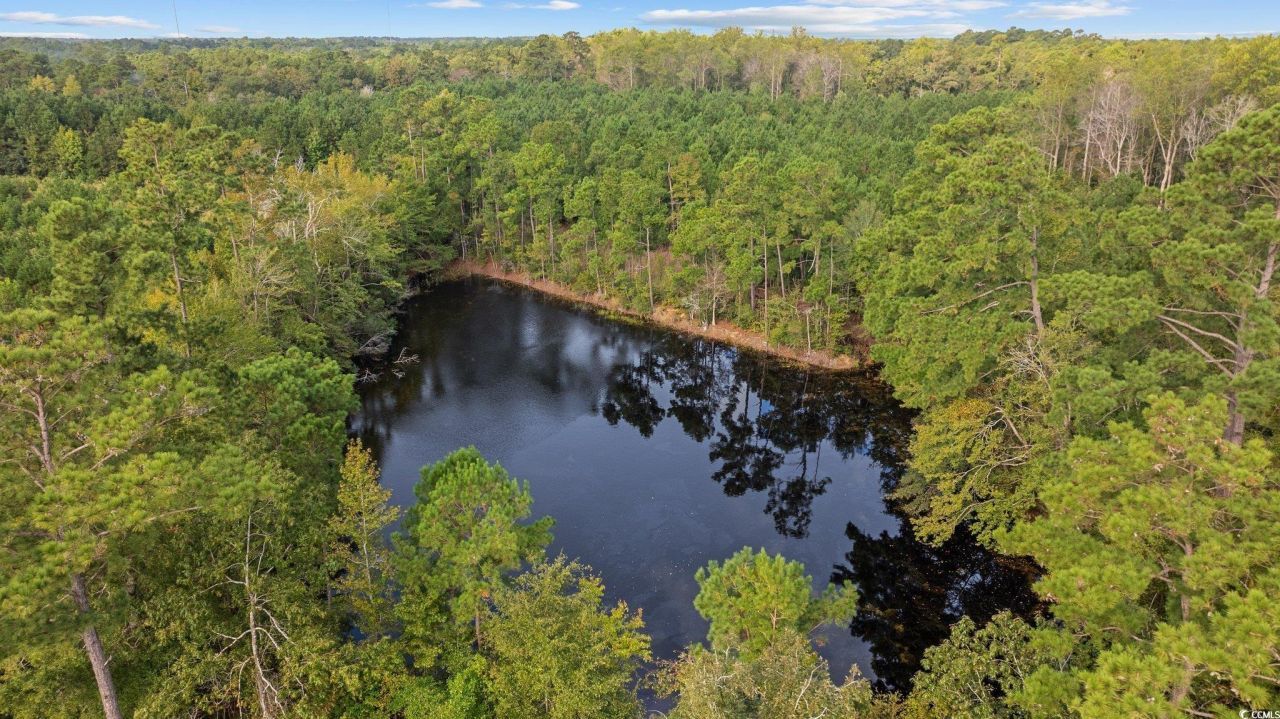 Tbd Old Reaves Ferry Rd. Photo 8