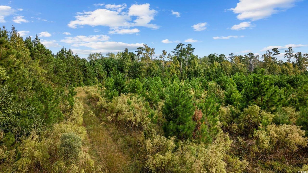 Tbd Old Reaves Ferry Rd. Photo 9