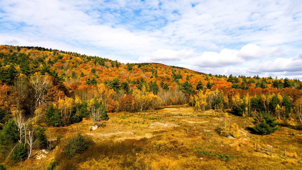 000 Willard Pond Road, Hancock, NH 03449 Main Photo