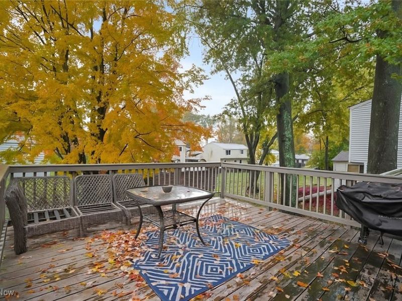 2063 Woodland Trace, Youngstown, OH 44515 Photo 25