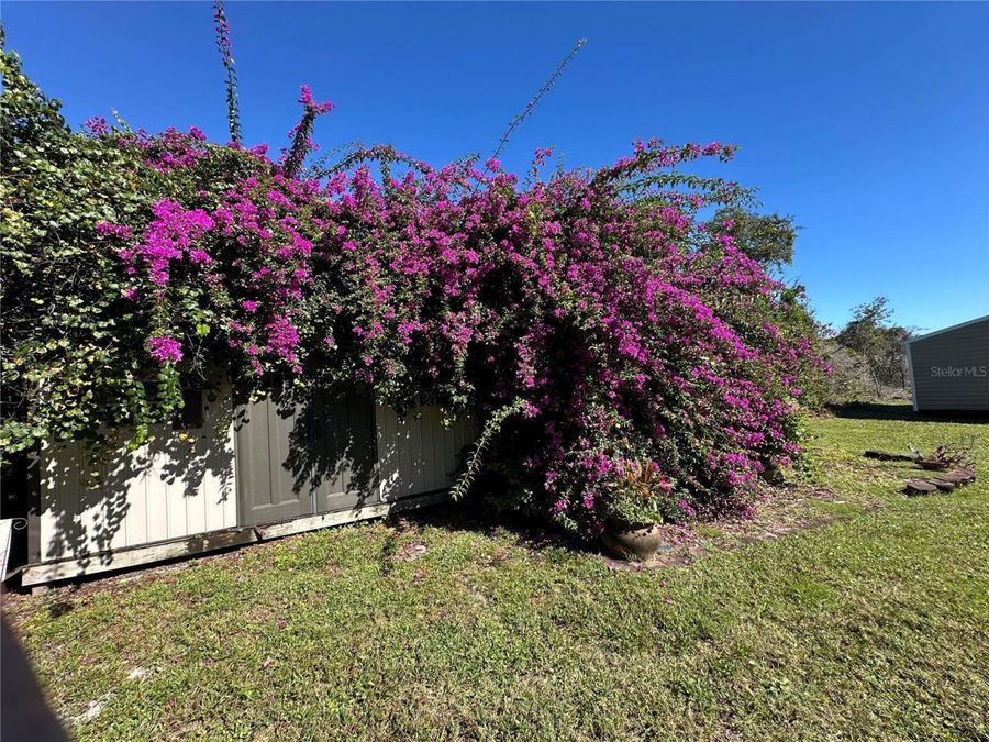 Property Image 33