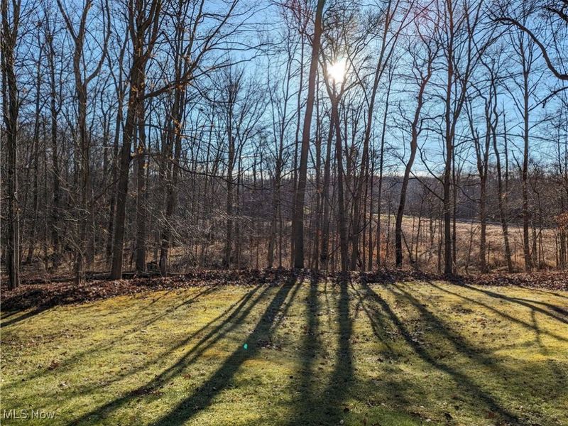 13807 Equestrian Drive, Burton, OH 44021 Photo 6