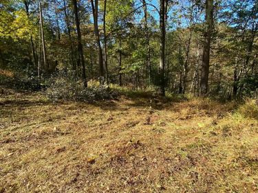 TBD Third Run Road, Glenville, WV 26342