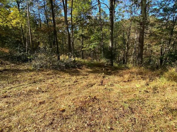 TBD Third Run Road, Glenville, WV 26342