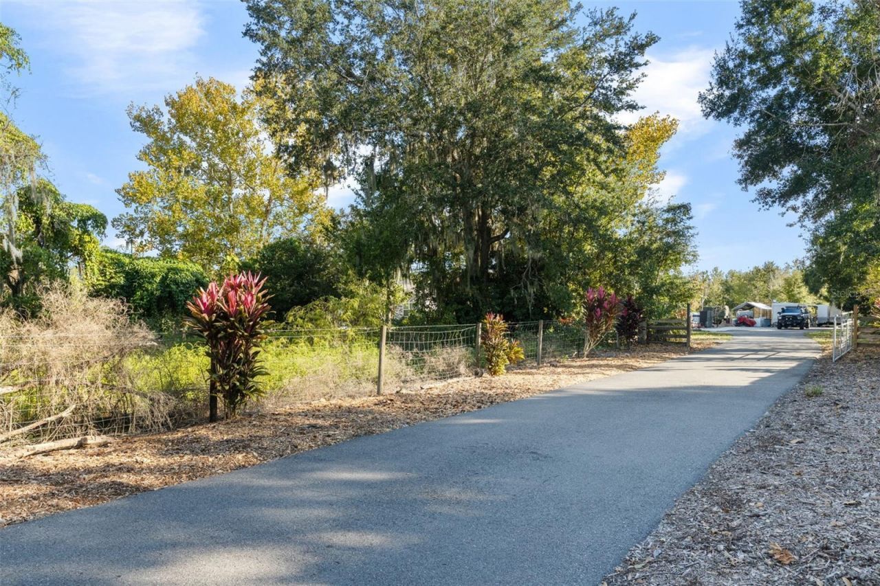 4817 Miley Road, Plant City, FL 33565 Photo