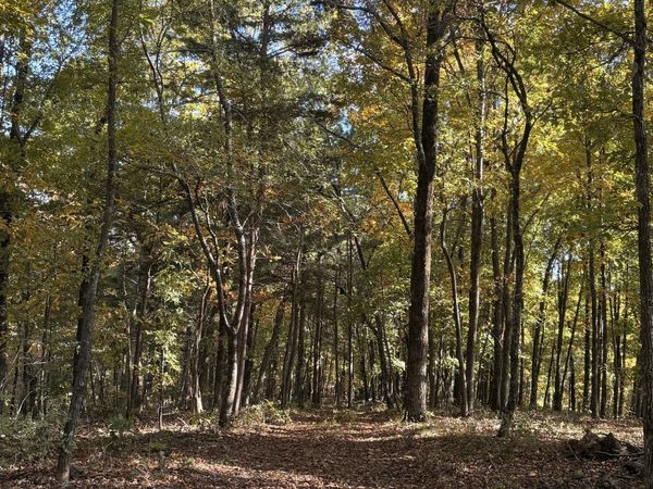 1600 Sunset Trail, Talking Rock, GA 30175