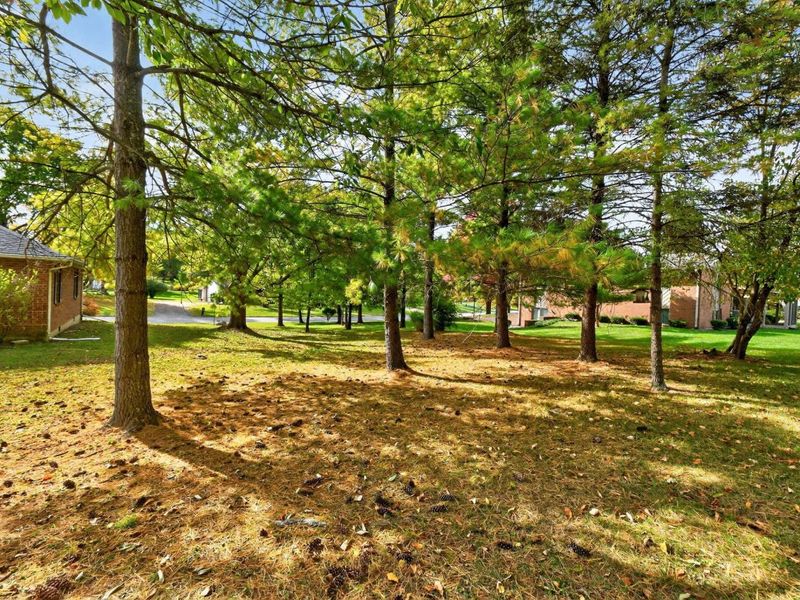 242 Miller Drive, Urbana, OH 43078 Photo 20