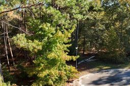 9 Legacy Court  photo 4