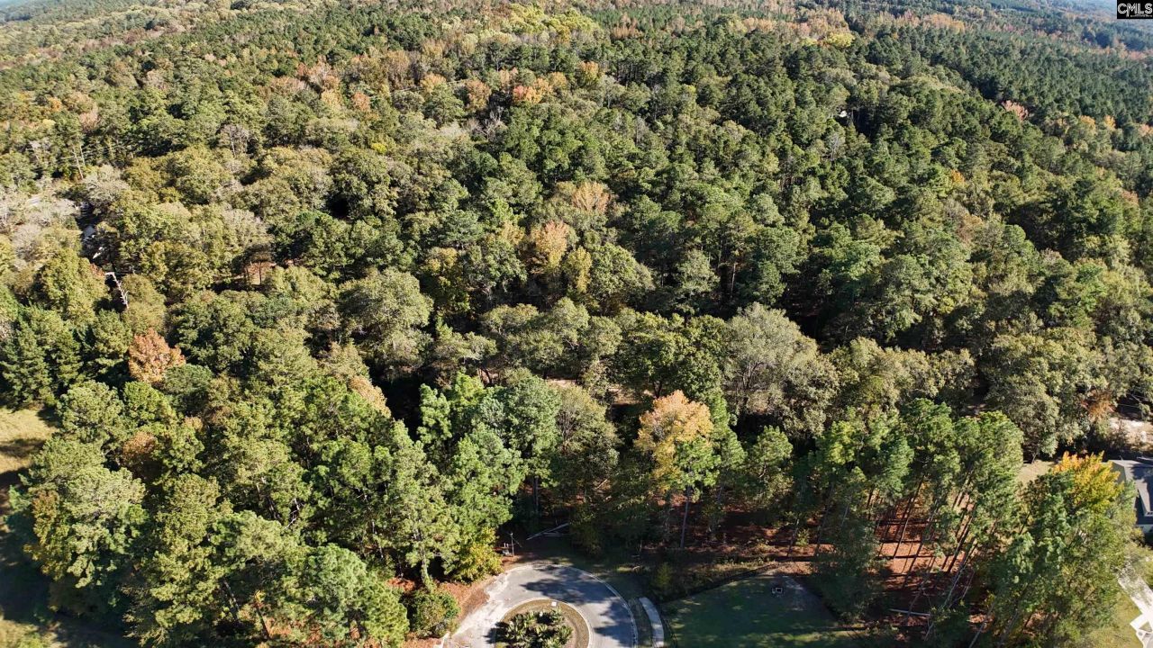 9 Legacy Court  Photo 4