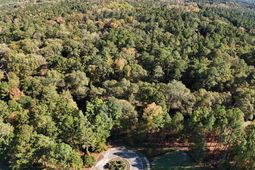 9 Legacy Court  photo 4