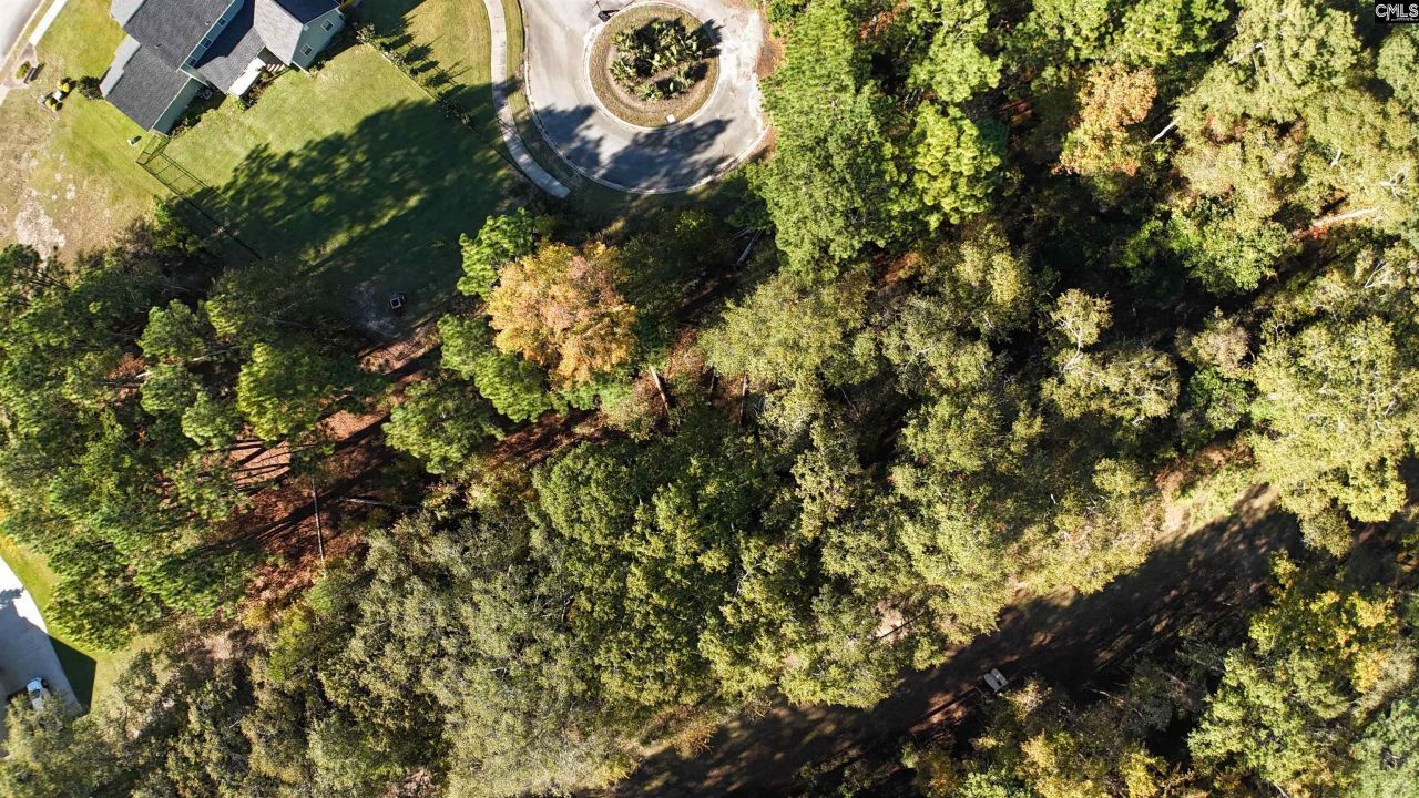 9 Legacy Court  Photo 5