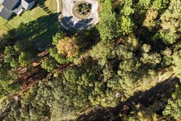 9 Legacy Court  photo 4