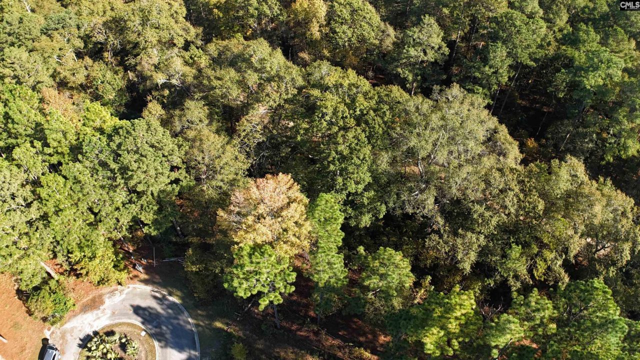 9 Legacy Court  Photo 6